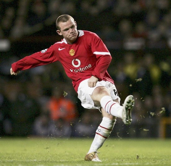 适应性和多 适应性和多